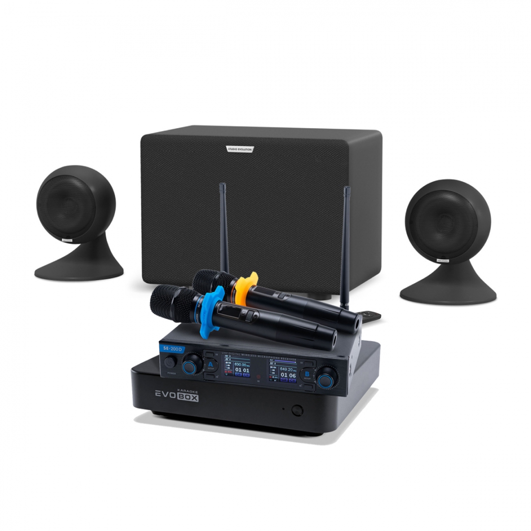 караоке-комплект EVOBOX + EvoSound Sphere 2.1 в Гороховце