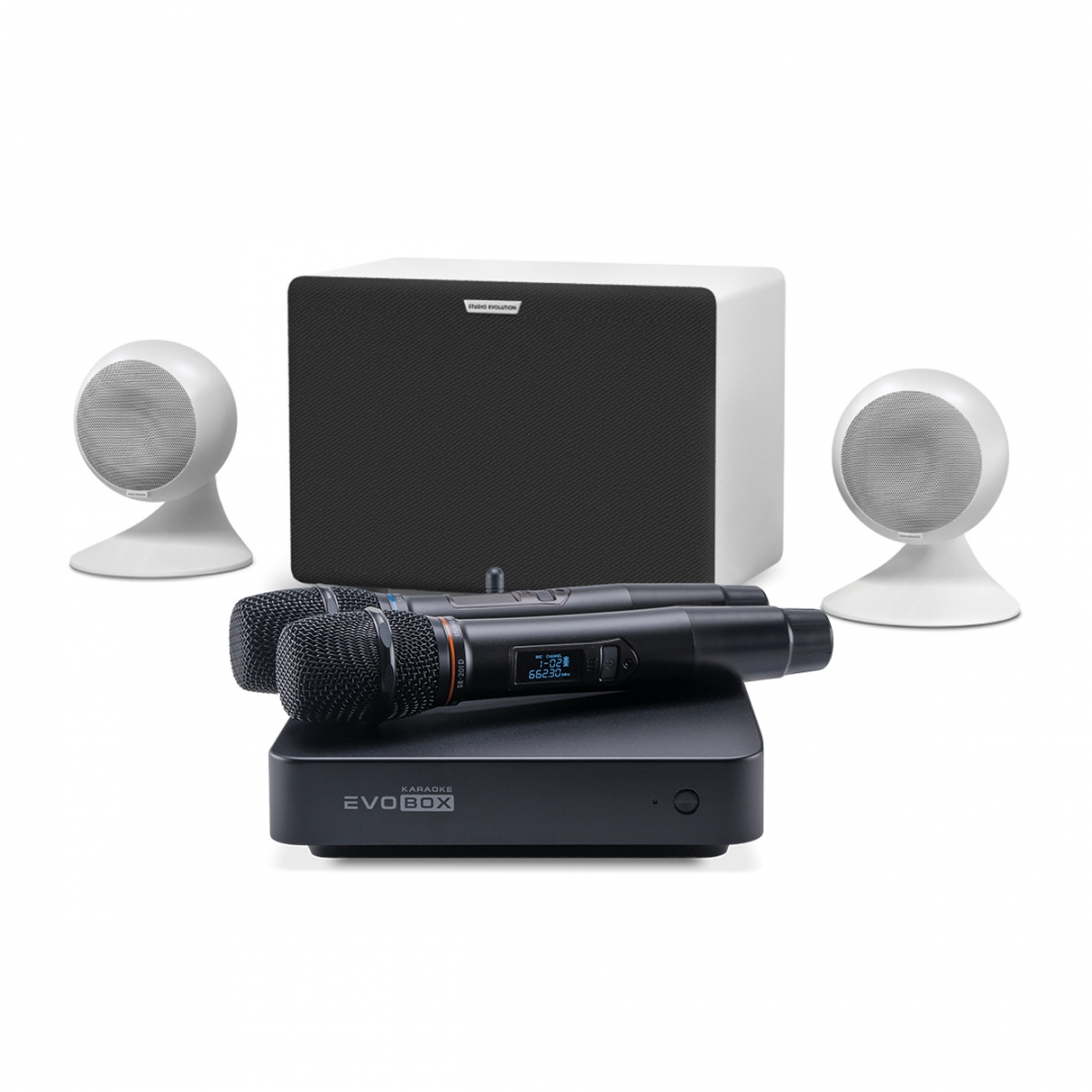 караоке-комплект EVOBOX Classic + EvoSound Sphere 2.1 в Гороховце