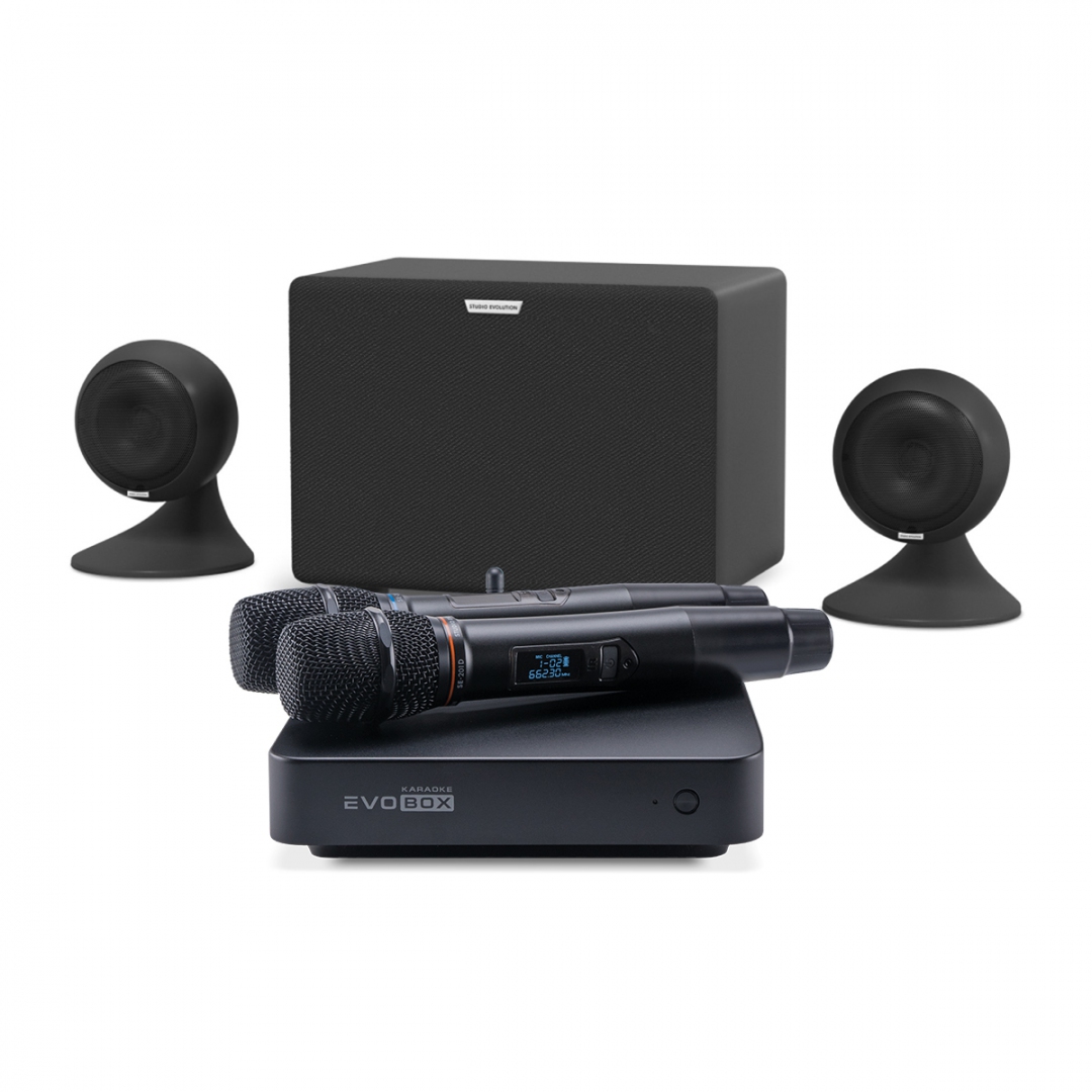 караоке-комплект EVOBOX Plus + EvoSound Sphere 2.1 в Гороховце