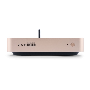 EVOBOX Classic караоке-система для дома в Гороховце
