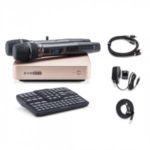 EVOBOX Plus караоке-система для дома в Гороховце
