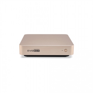 EVOBOX с микрофонами в Гороховце